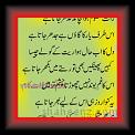 Raat Maloom hoa Qasim Shah 01 * 02.10.2012 * 321 x 493 * (34KB)